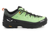 Salewa Alp Trainer 2 Gore-Tex® Men's Shoe 61400-5660